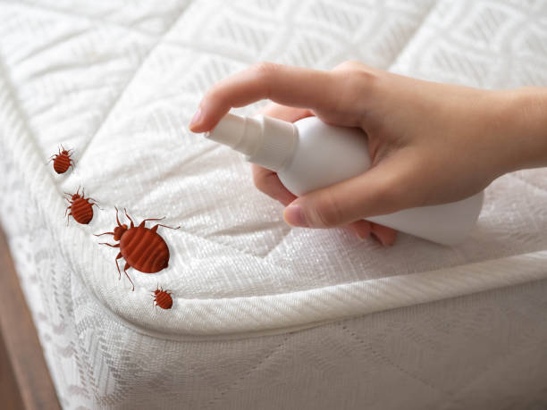 Pest Control for Hotels